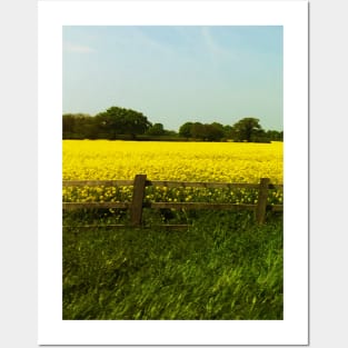 Field in The Spring Posters and Art